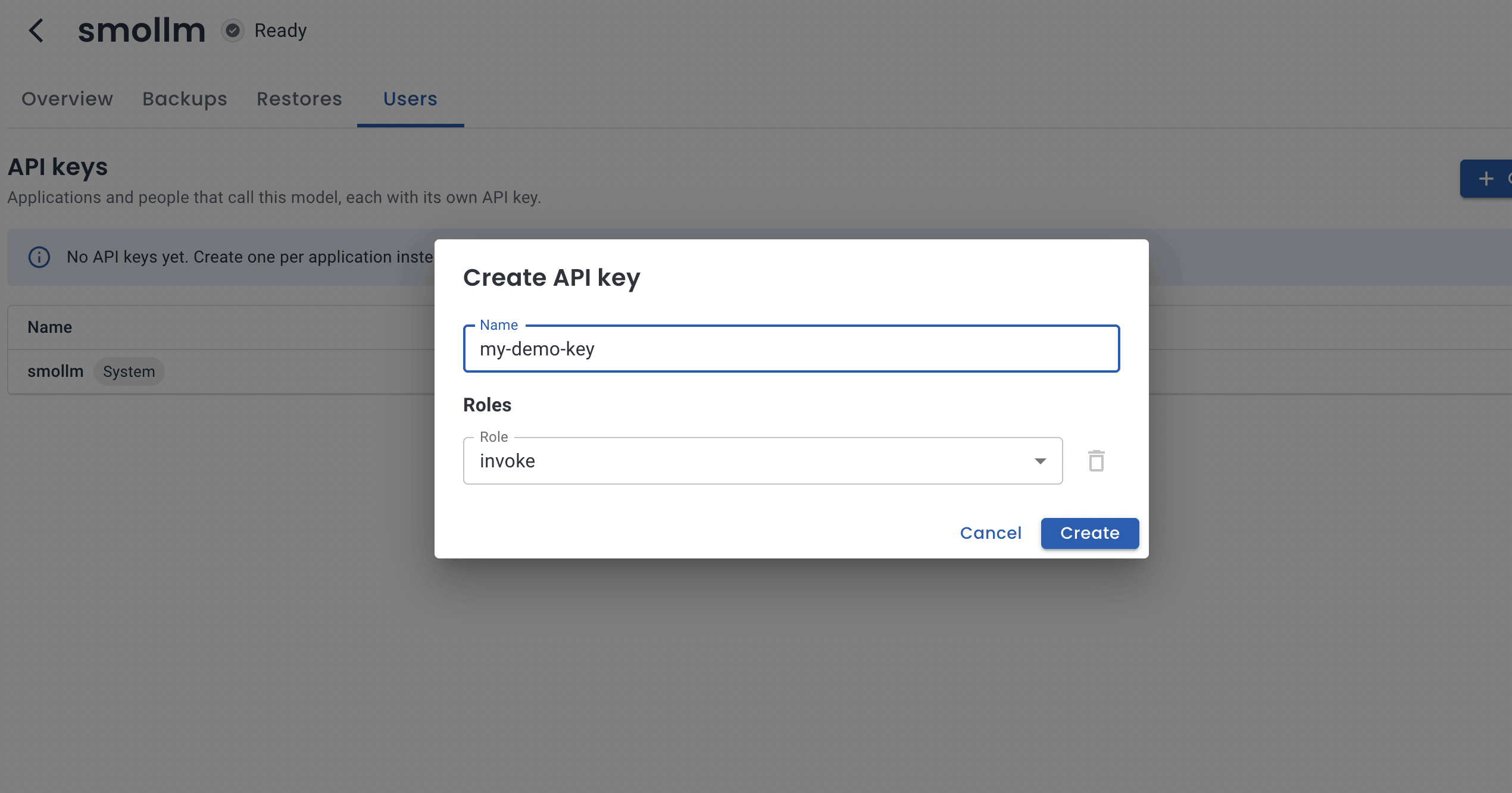 Creating an API key in the Users tab of a model