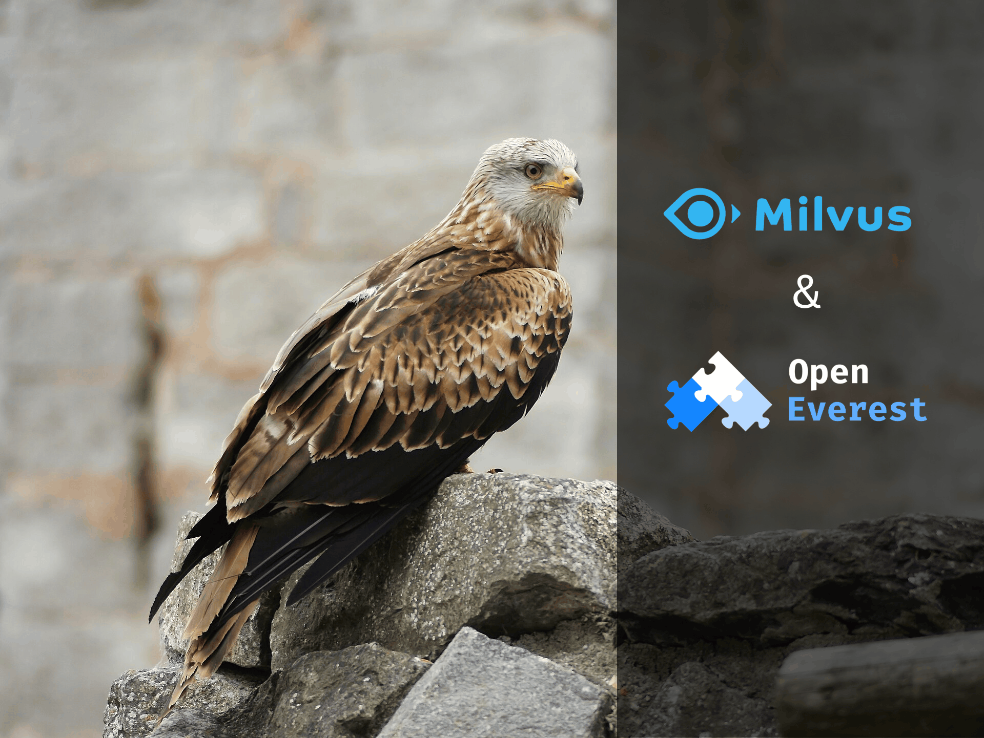 Milvus on OpenEverest - A Vector On Your Platform