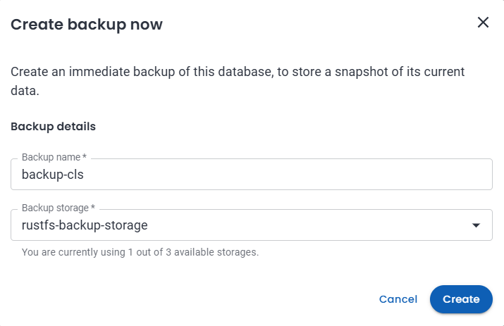 Create backup now form